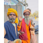 Giriraj Seva - Feeding Sadhus in Govardhan