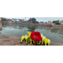 Radha Kunda pushpa seva