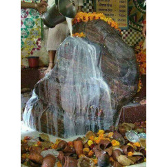 Perform Maha Abhishek to Giriraja Govardhan