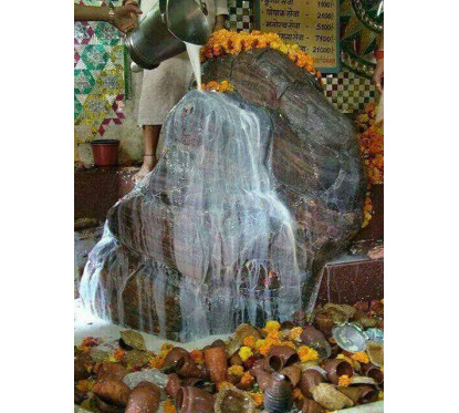 Perform Maha Abhishek to Giriraja Govardhan