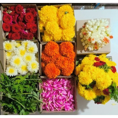 Offer flowers to Sri Giriraj Govardhan